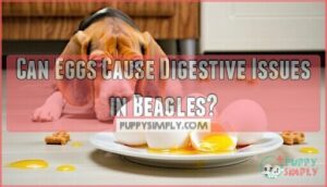 can eggs cause digestive issues in beagles