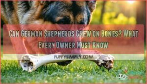 can german shepherds chew on bones