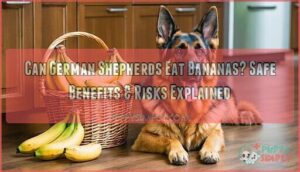 can german shepherds eat bananas