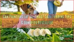 can pointers eat bananas