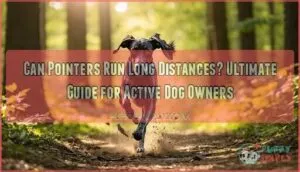 can pointers run long distances