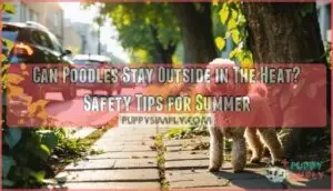 can poodles stay outside in the heat