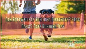 can rottweilers run long distances