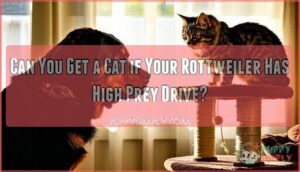 can you get a cat if your rottweiler has high prey drive