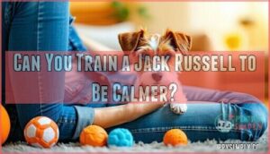 can you train a jack russell to be calmer