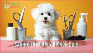 caring for curly bichon hair
