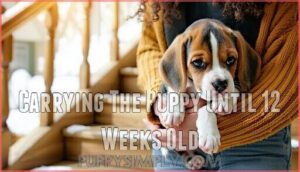 carrying the puppy until 12 weeks old