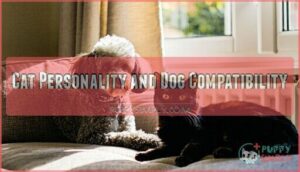 cat personality and dog compatibility