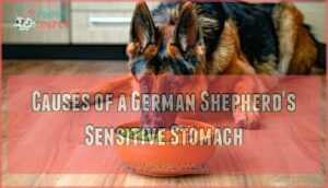 causes of a german shepherd's sensitive stomach