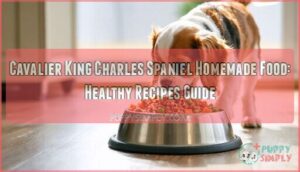 cavalier king charles spaniel homemade food