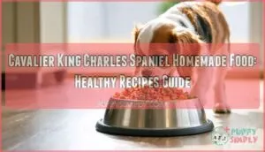 cavalier king charles spaniel homemade food