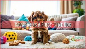 cavapoo as a first-time dog