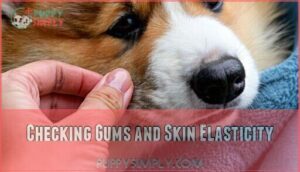 checking gums and skin elasticity