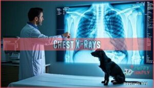 chest x-rays