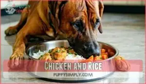 chicken and rice chicken and rice