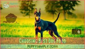 choosing best dog food