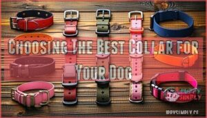 choosing the best collar for your dog