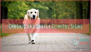 chronic and subtle clinical signs