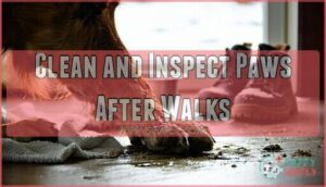 clean and inspect paws after walks