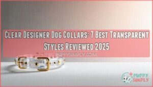 clear designer dog collars