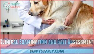 clinical examination and gait assessment