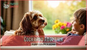 cockapoo adoption