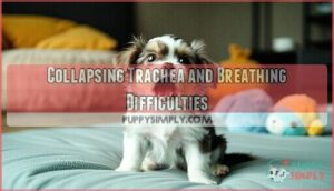 collapsing trachea and breathing difficulties