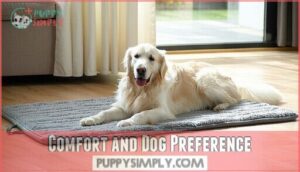 comfort and dog preference