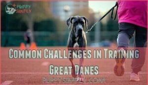 common challenges in training great danes