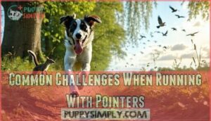 common challenges when running with pointers