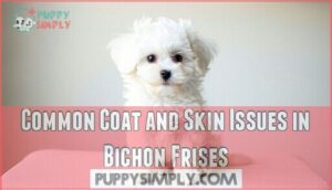 common coat and skin issues in bichon frises
