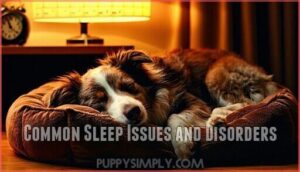 common sleep issues and disorders