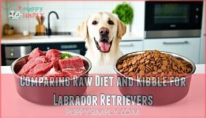 comparing raw diet and kibble for labrador retrievers