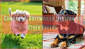 comparing rottweiler lifespan to other breeds