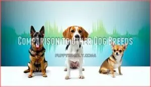 comparison to other dog breeds