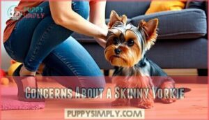 concerns about a skinny yorkie
