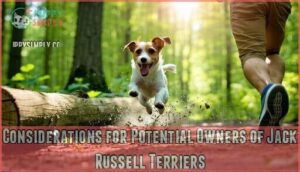 considerations for potential owners of jack russell terriers