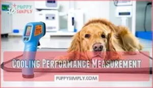 cooling performance measurement