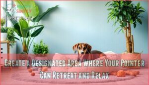 create a designated area where your pointer can retreat and relax