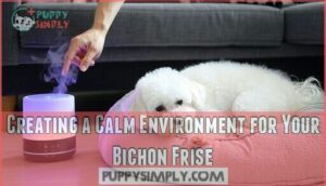 creating a calm environment for your bichon frise