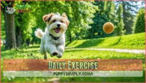daily exercise
