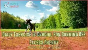 daily exercise is crucial for burning off excess energy