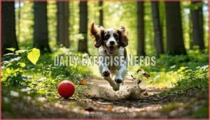 daily exercise needs