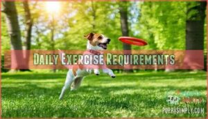 daily exercise requirements