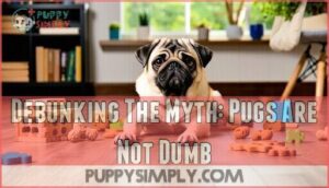 debunking the myth: pugs are not dumb