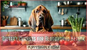 dietary changes for bloodhound health