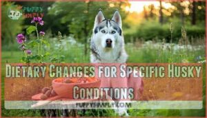 dietary changes for specific husky conditions