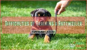 difficulties of training a rottweiler