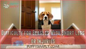 difficulty for beagles with short legs or injuries