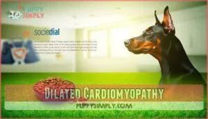dilated cardiomyopathy